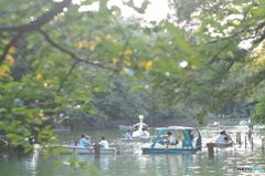 井の頭公園の平和な光景