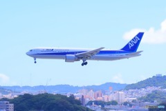 ANA機