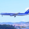 ANA機
