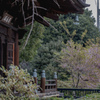 椿山荘の三重塔とその先の東京カテドラル聖マリア大聖堂