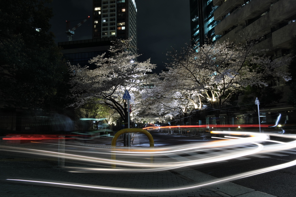 車通りすぎ！