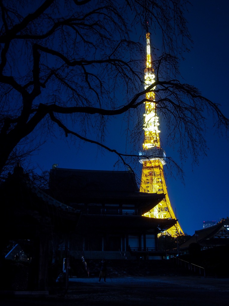 増上寺からのタワー