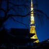 増上寺からのタワー