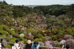 塩船観音寺　観音様側からの眺め