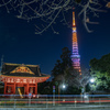 東京タワーと旧台徳院霊廟惣門