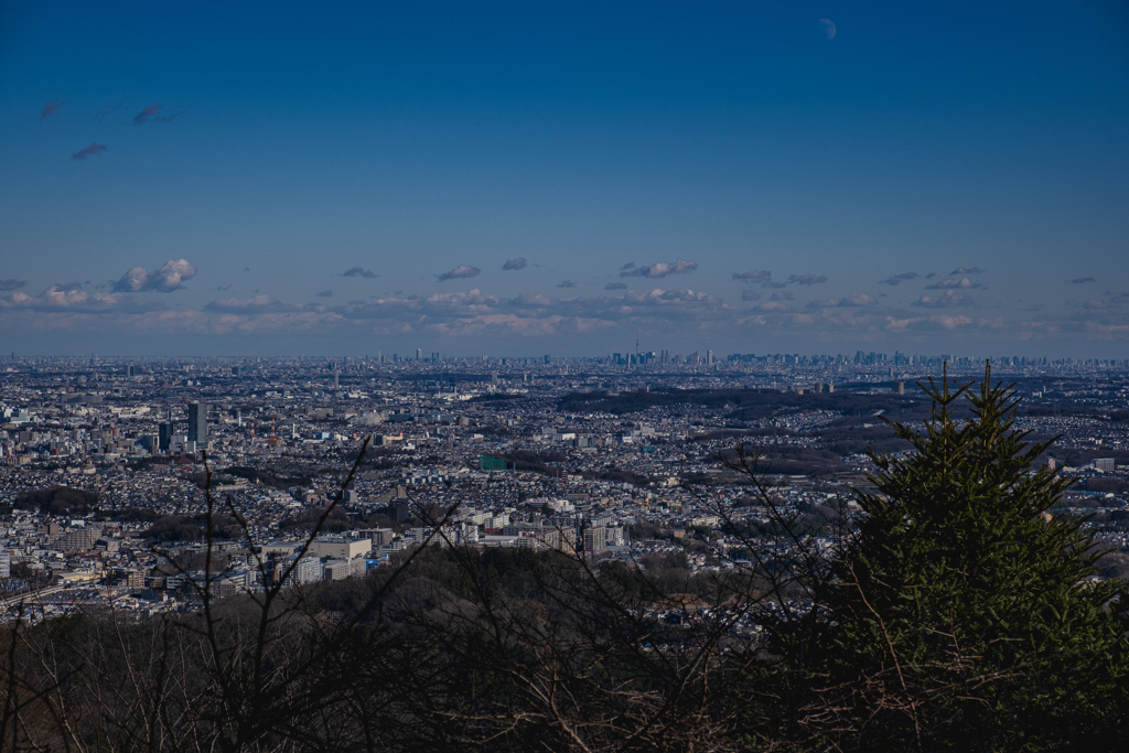 高尾山から東京都心部方面