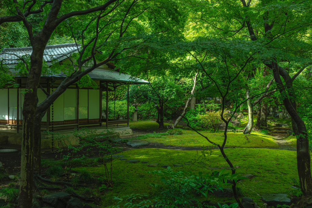 旧古河庭園・日本庭園１