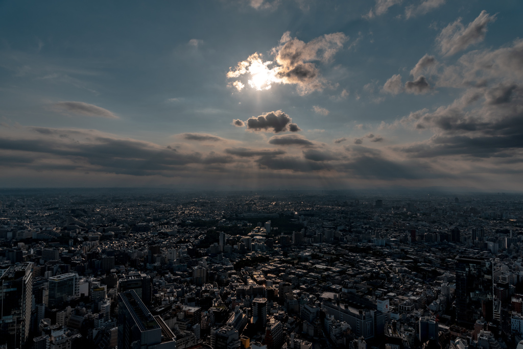 SHIBUYA SKYからの眺め