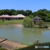 識名園①