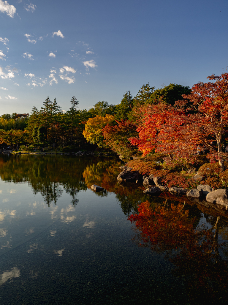 昭和記念公園日本庭園１