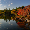 昭和記念公園日本庭園１