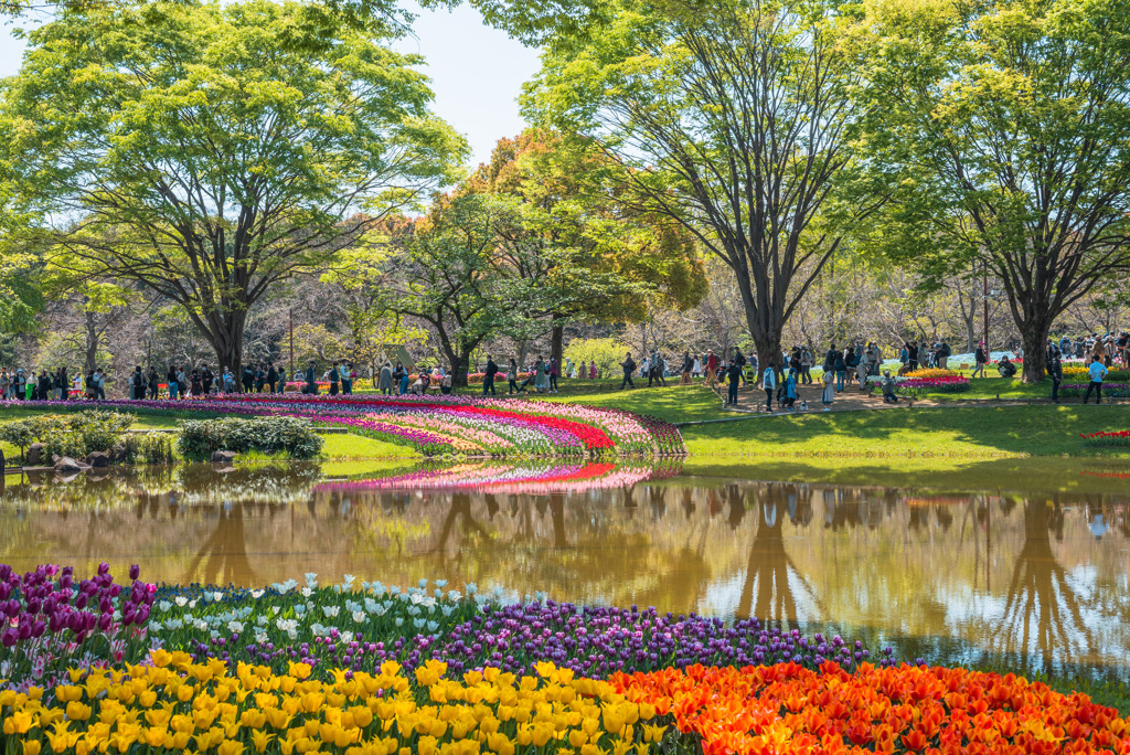 昭和記念公園