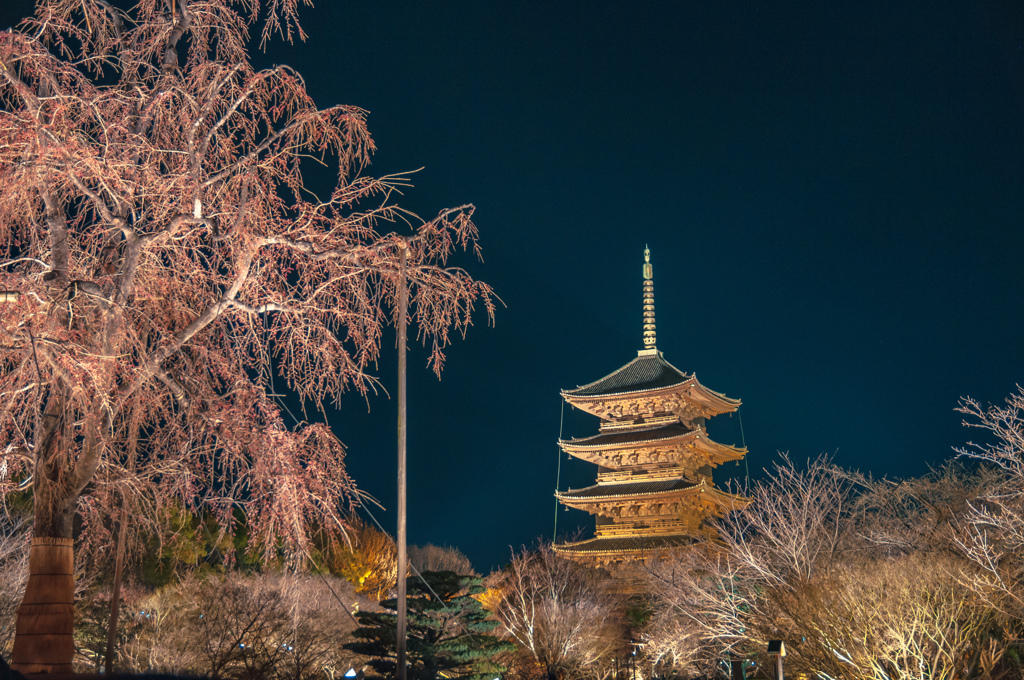 東寺ライトアップ2