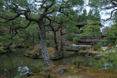 慈照寺の庭園