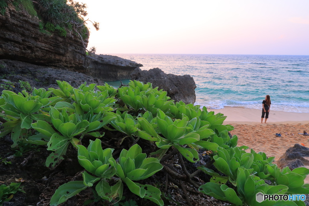 沖縄 古宇利島
