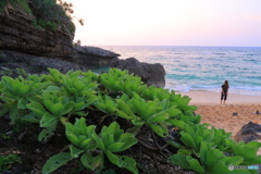 沖縄 古宇利島