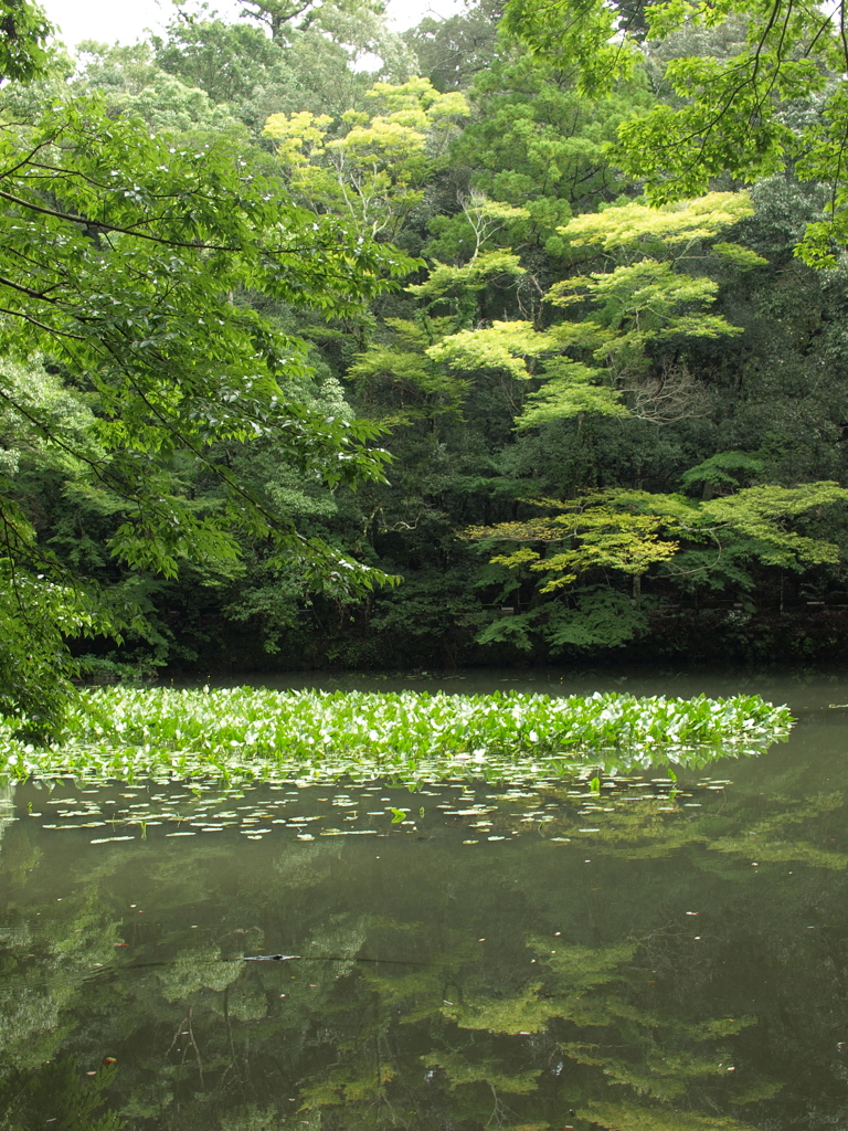 内宮の池