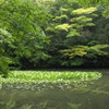 内宮の池
