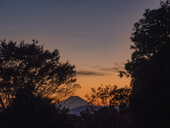 昭和記念公園から見た富士