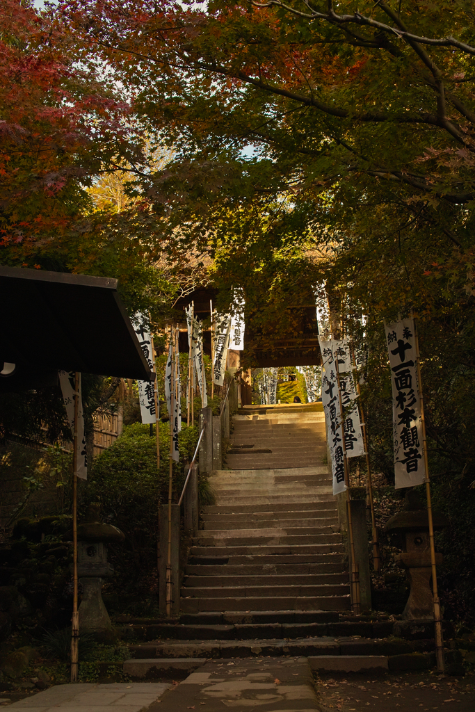 杉本寺　この先に苔の石段