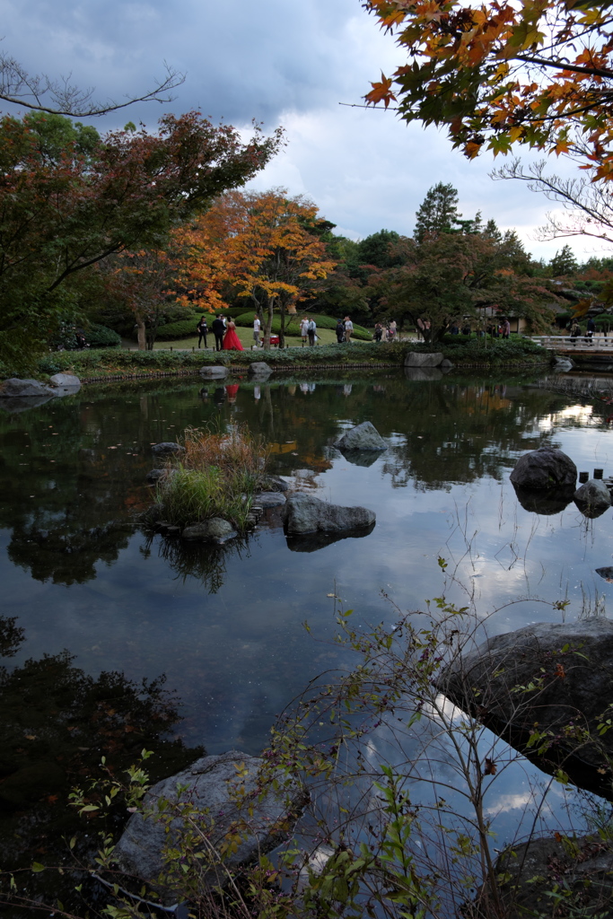 日本庭園3