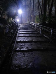 井の頭公園西園への道