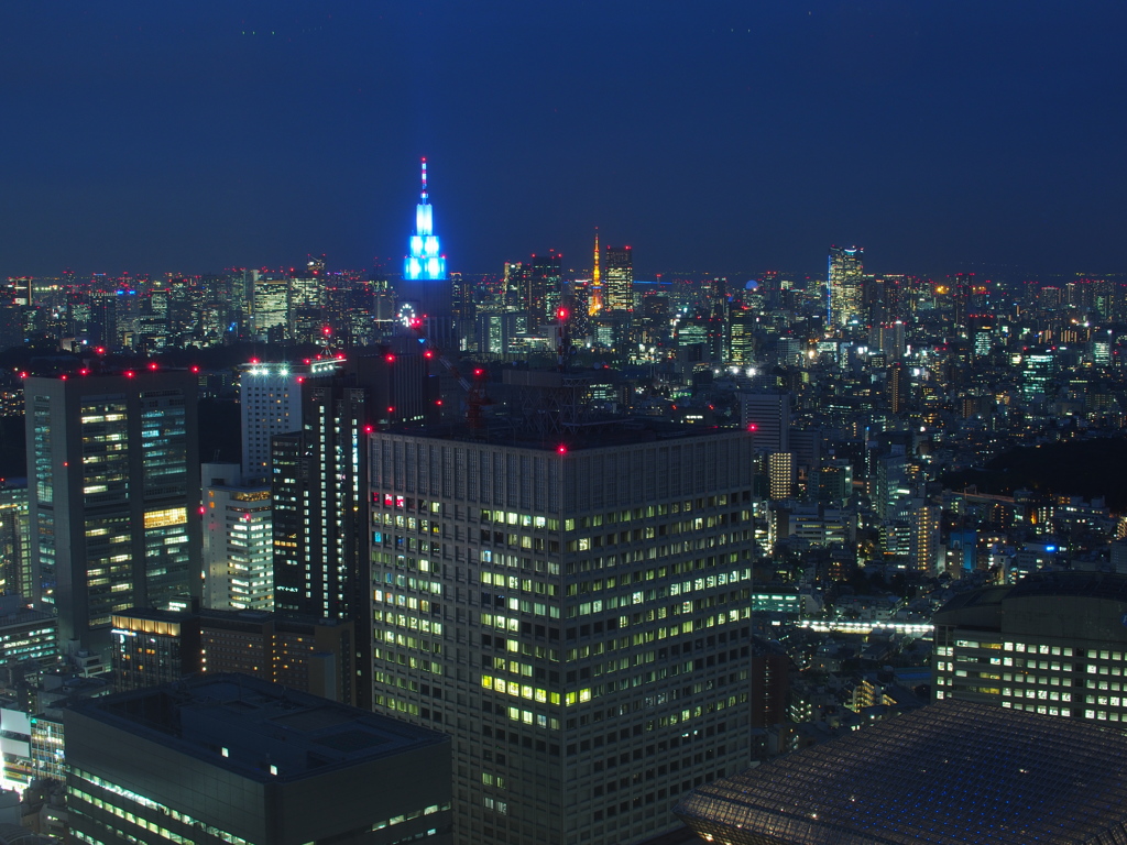 都庁北展望室からの海側の夜景