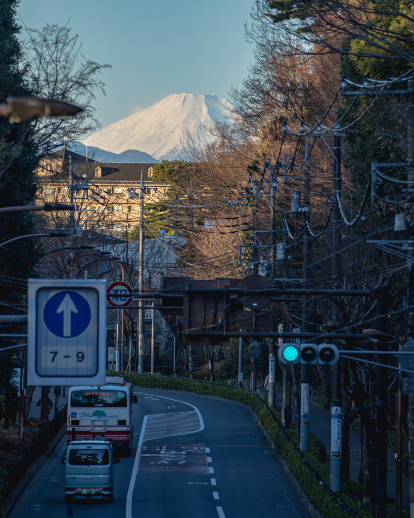 元旦の富士山