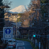 元旦の富士山