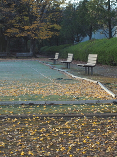 昭和記念公園のスポーツエリア