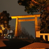 靖國神社19時