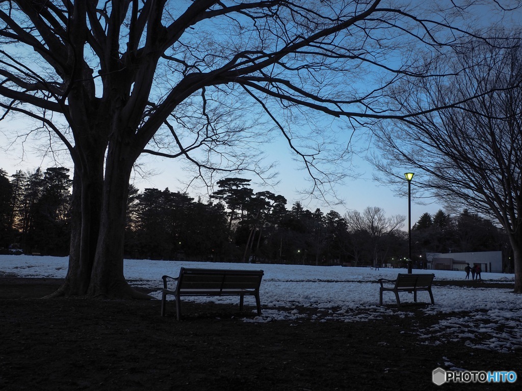 本日の井の頭公園2