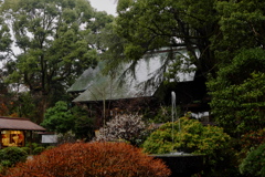 雨上がりの報徳二宮神社