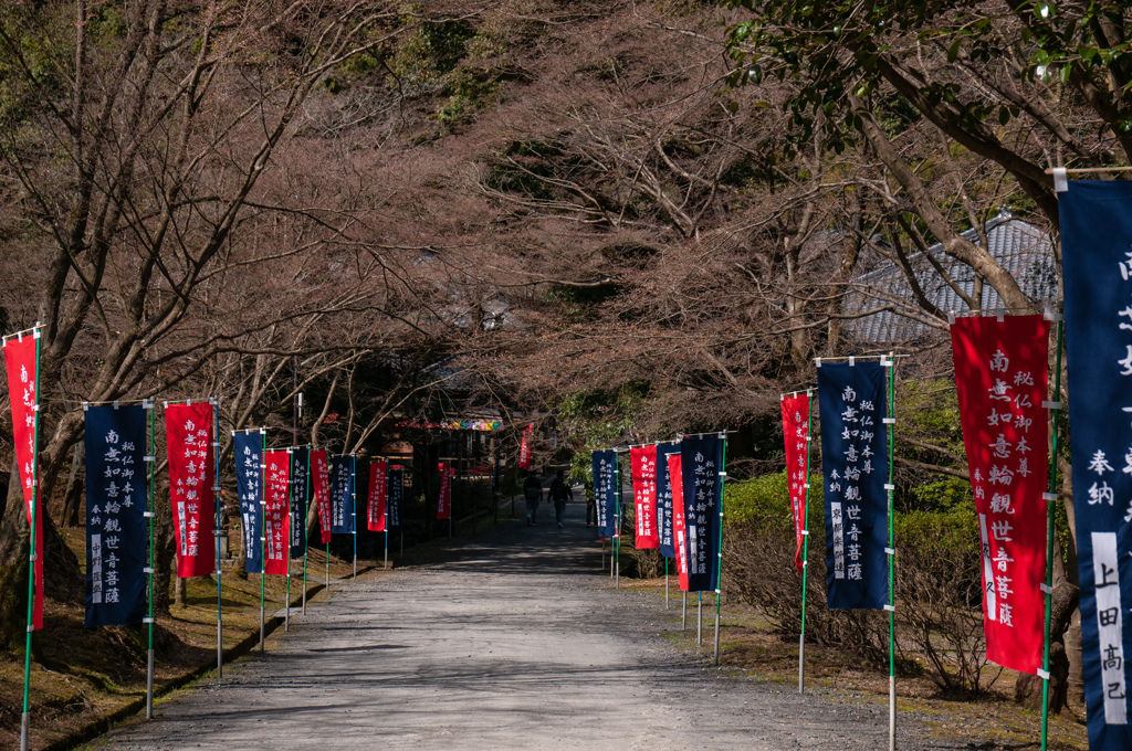 三井寺境内