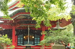 雨の井の頭弁財天2