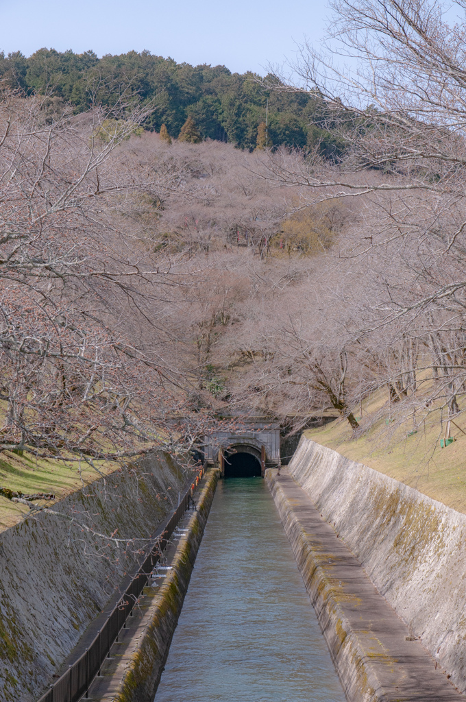 琵琶湖疎水