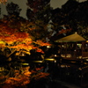 大田黒公園2