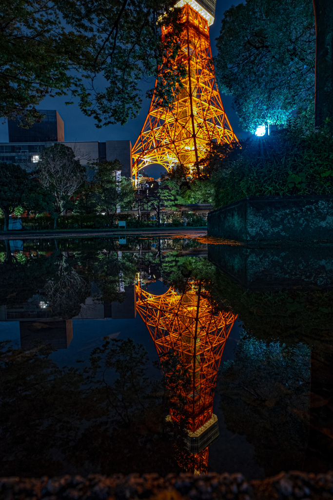 東京タワー裏の公園から