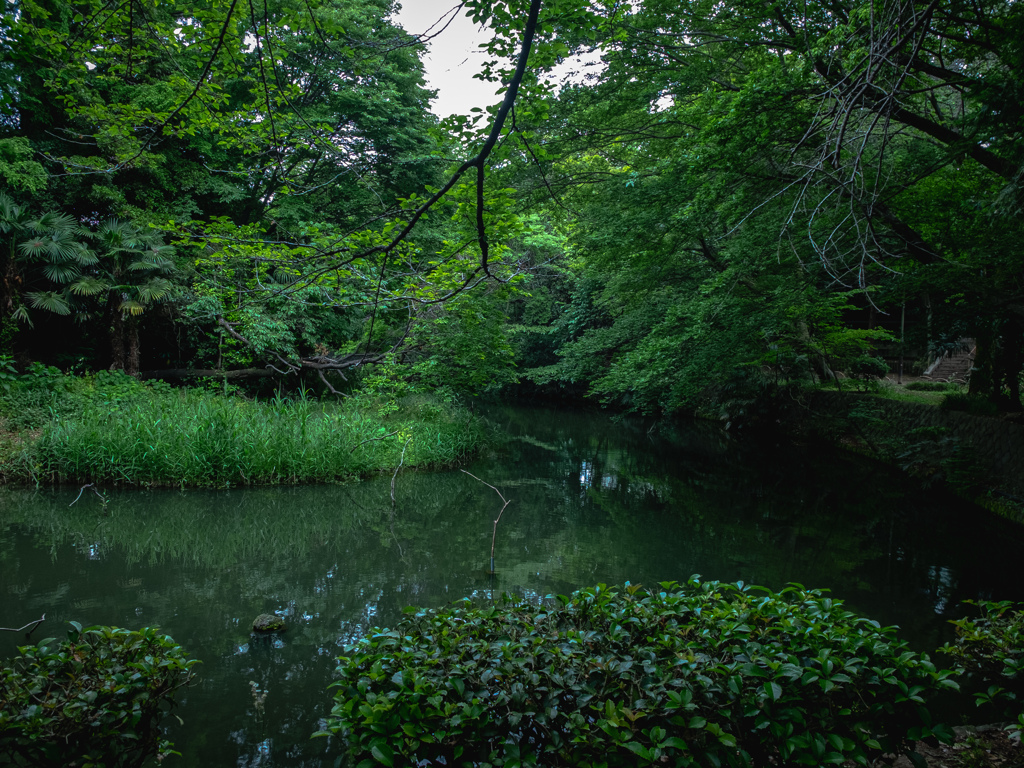 武蔵関公園