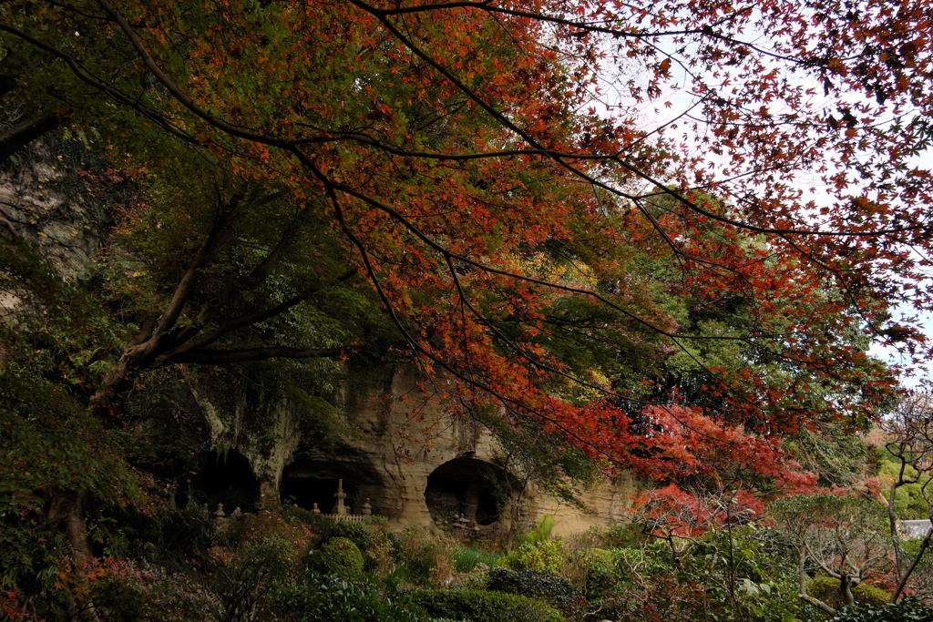 報国寺　竹林に入る前の庭園