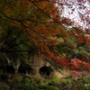 報国寺　竹林に入る前の庭園