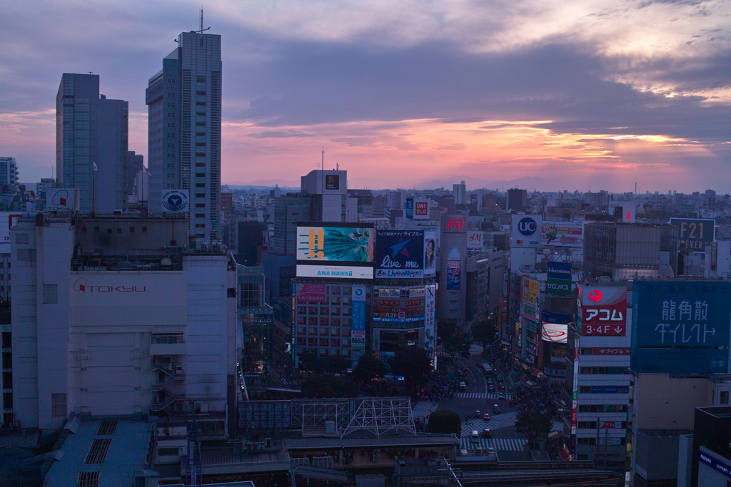 渋谷夕景