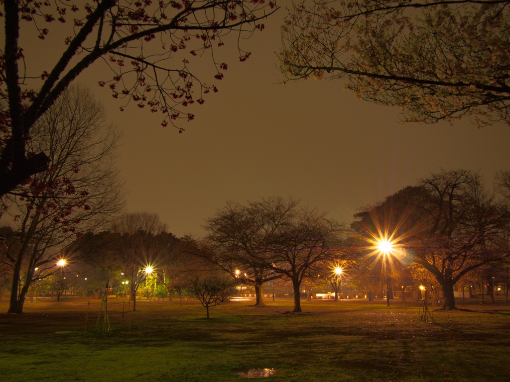 井の頭公園西園