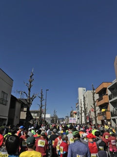 青梅マラソンまもなくスタート