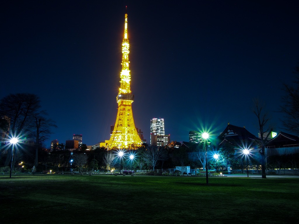 芝公園からの東京タワー