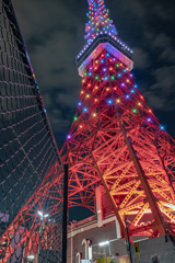 東京タワー営業再開の日