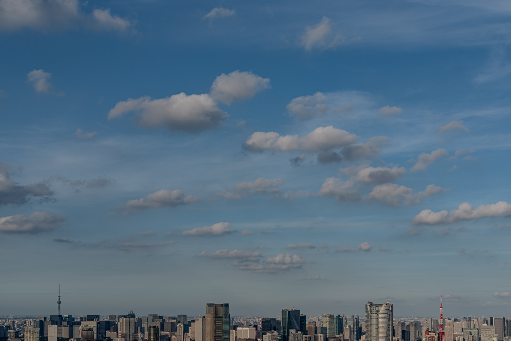 SHIBUYA SKYからのスカイツリーと東京タワー