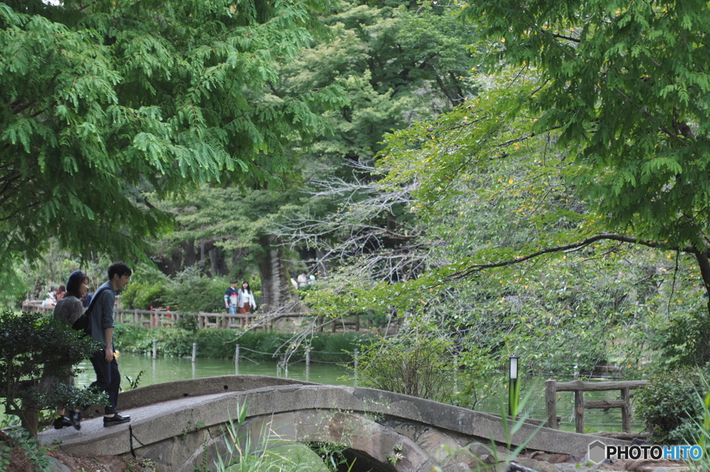 井の頭公園の瓢箪橋