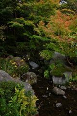 日本庭園2