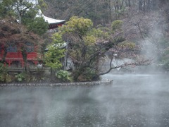 本日の井の頭弁財天